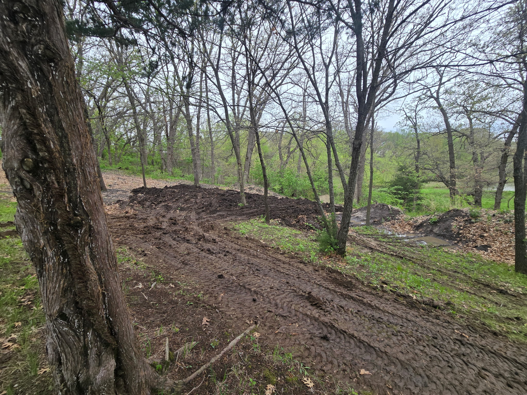 Cleared and graded property
